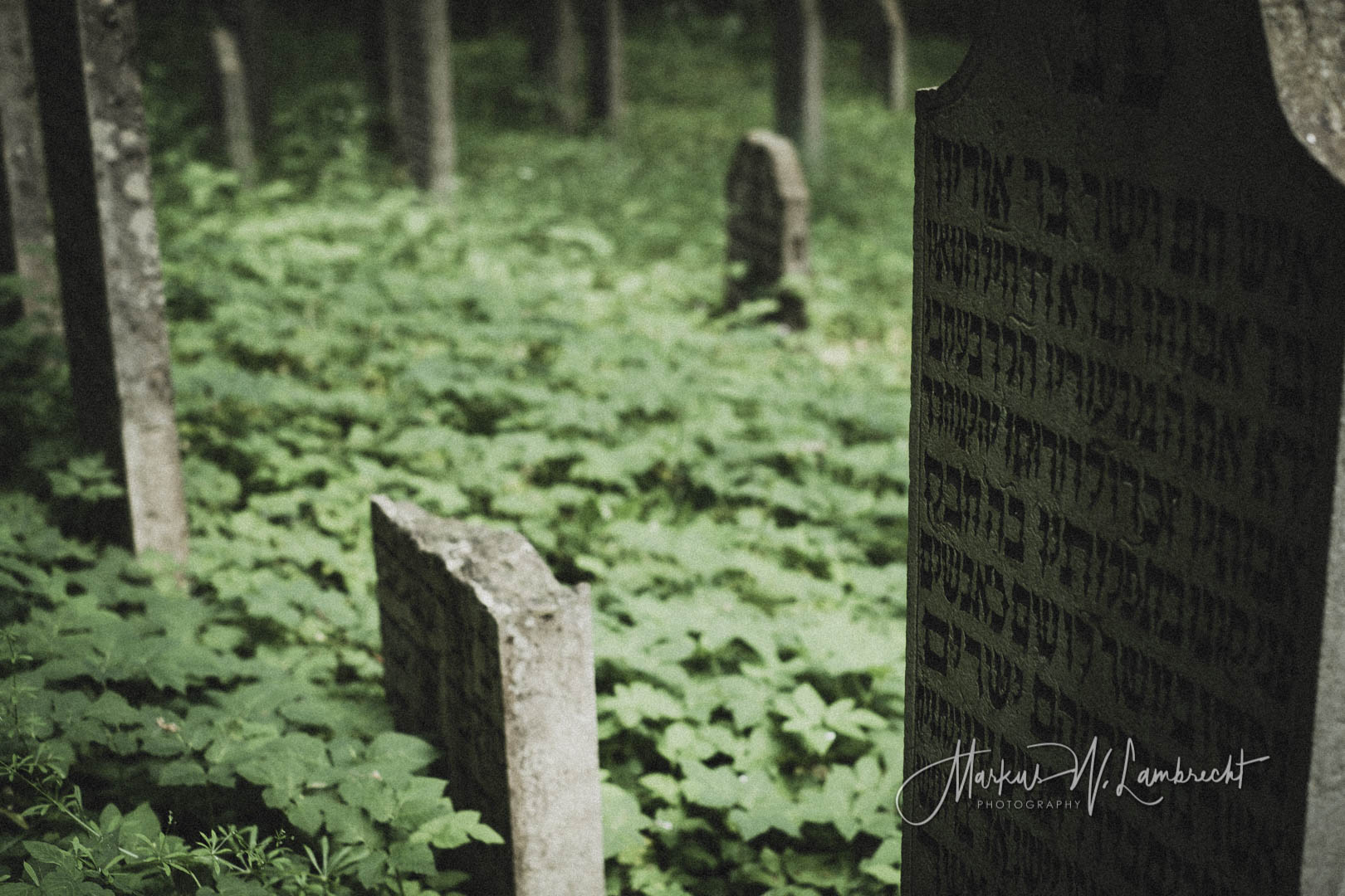 Niederhof (Sundhagen), Jüdischer Friedhof